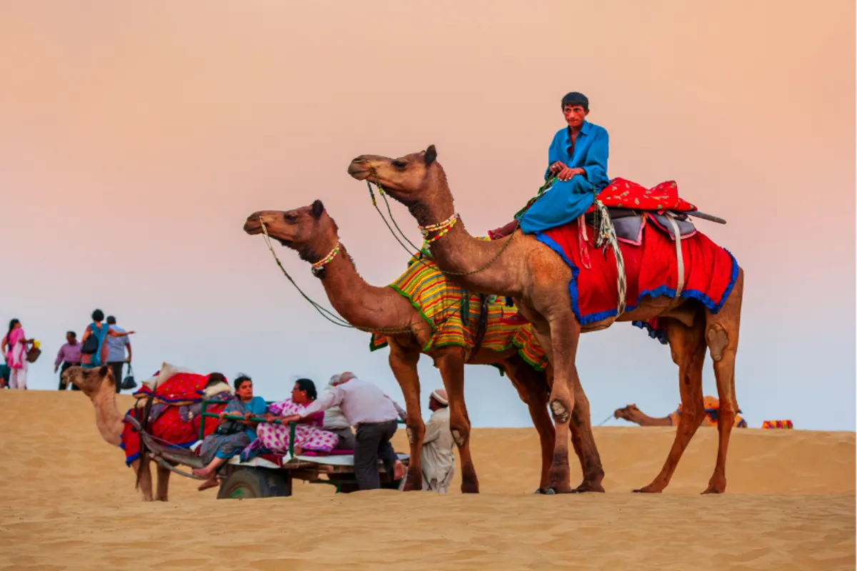 Rajasthan Heritage Safari